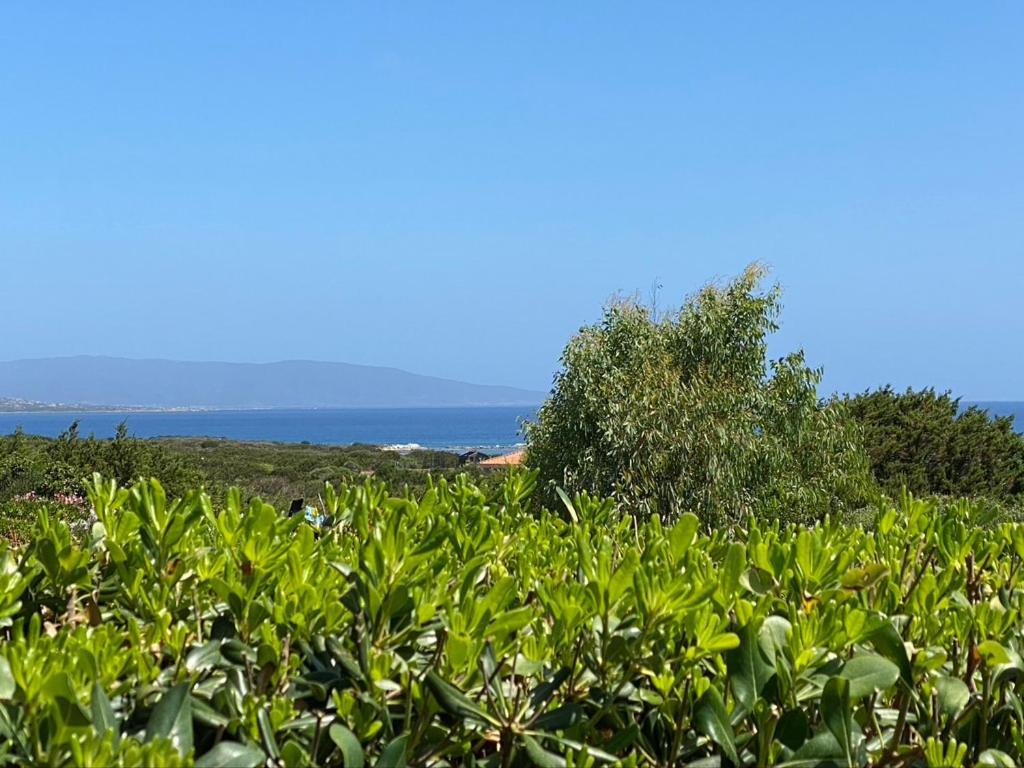 Appartamento Sole E Mare Stintino Exterior photo