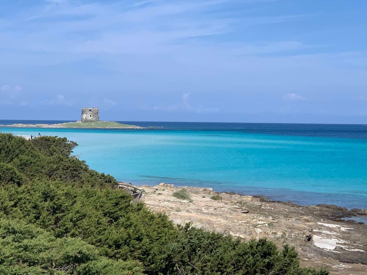 Appartamento Sole E Mare Stintino Exterior photo